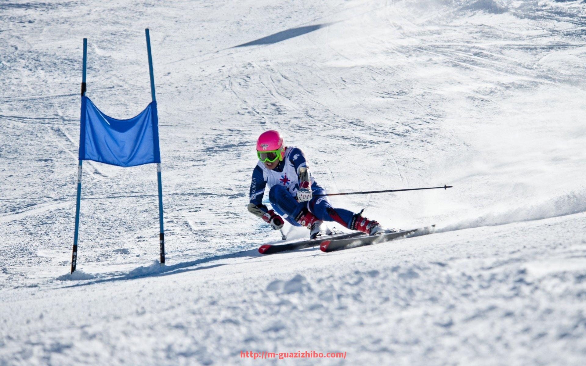 瓜子直播-足球队德甲图片集锦及球队视觉形象展示